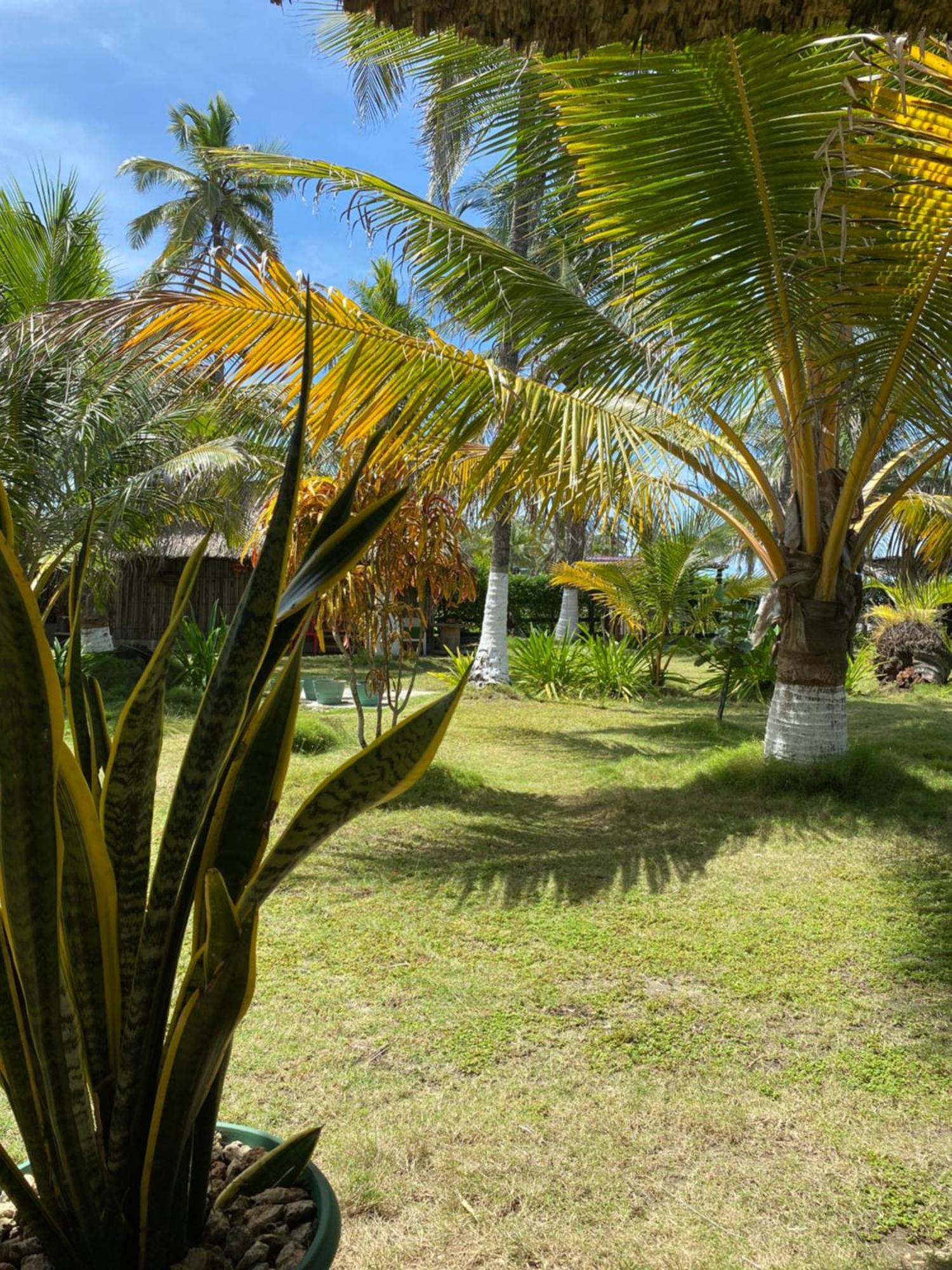 Zefiro Hostal San Bernardo del Viento Luaran gambar
